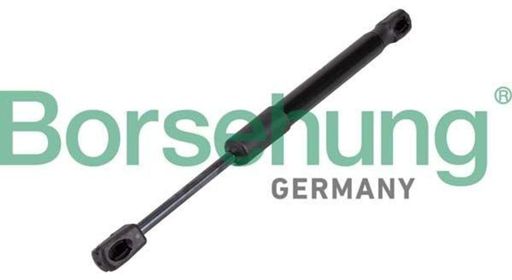Borsehung Gasfeder Motorhaubendämpfer für BMW 5 Touring (G31) B12476
