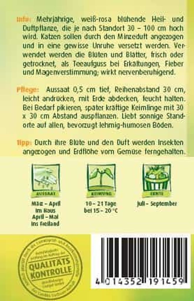 Katzenminze Produktbild 2