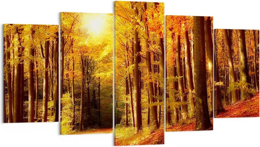Bild auf Leinwand - Leinwandbild - Pfad Blätter Wald - 160x85cm - Wand Bild - Wanddeko - Wandbilder - Leinwanddruck - Bilder - Kunstdruck - Wandde...