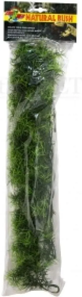 Offerta Cahuarina 56 cm - Pianta Finta Alta Qualità - Prezzo Speciale