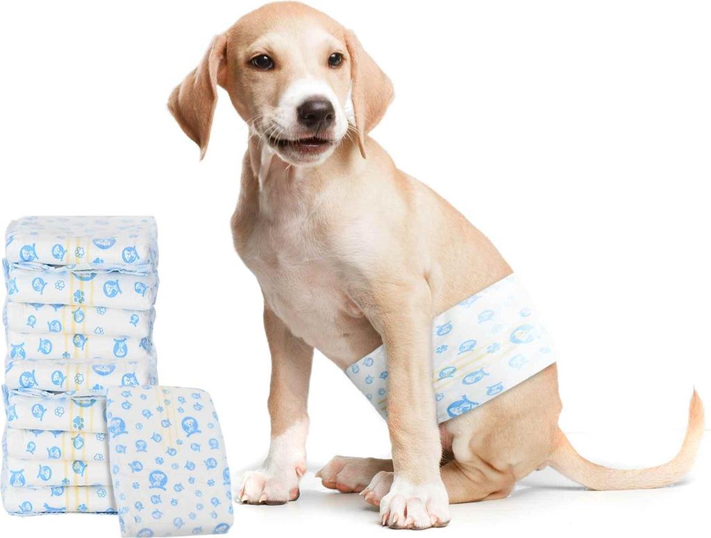 (Design 2026) Einweg-Hundewindel für Rüden 50 pcs - Montage erforderlich - Weiß S - Hundezubehör HOMMIE 599439 - Hundezubehör
