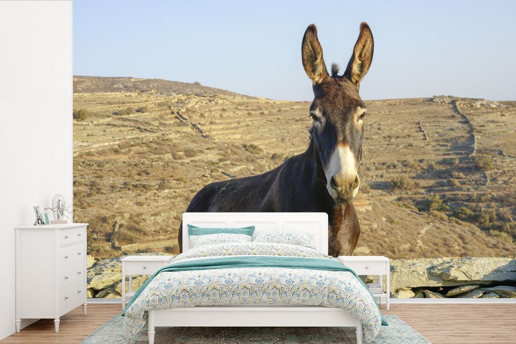 MuchoWow Fototapete für Wohnzimmer oder Schlafzimmer Wandtapete Vinyl Motivtapete Esel hinter den Steinen - 390x260 cm - Papiertapete