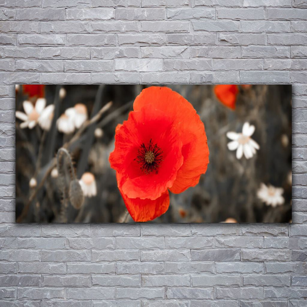 Glasbilder 120x60 Wandbild Druck auf Glas Blume Pflanzen
