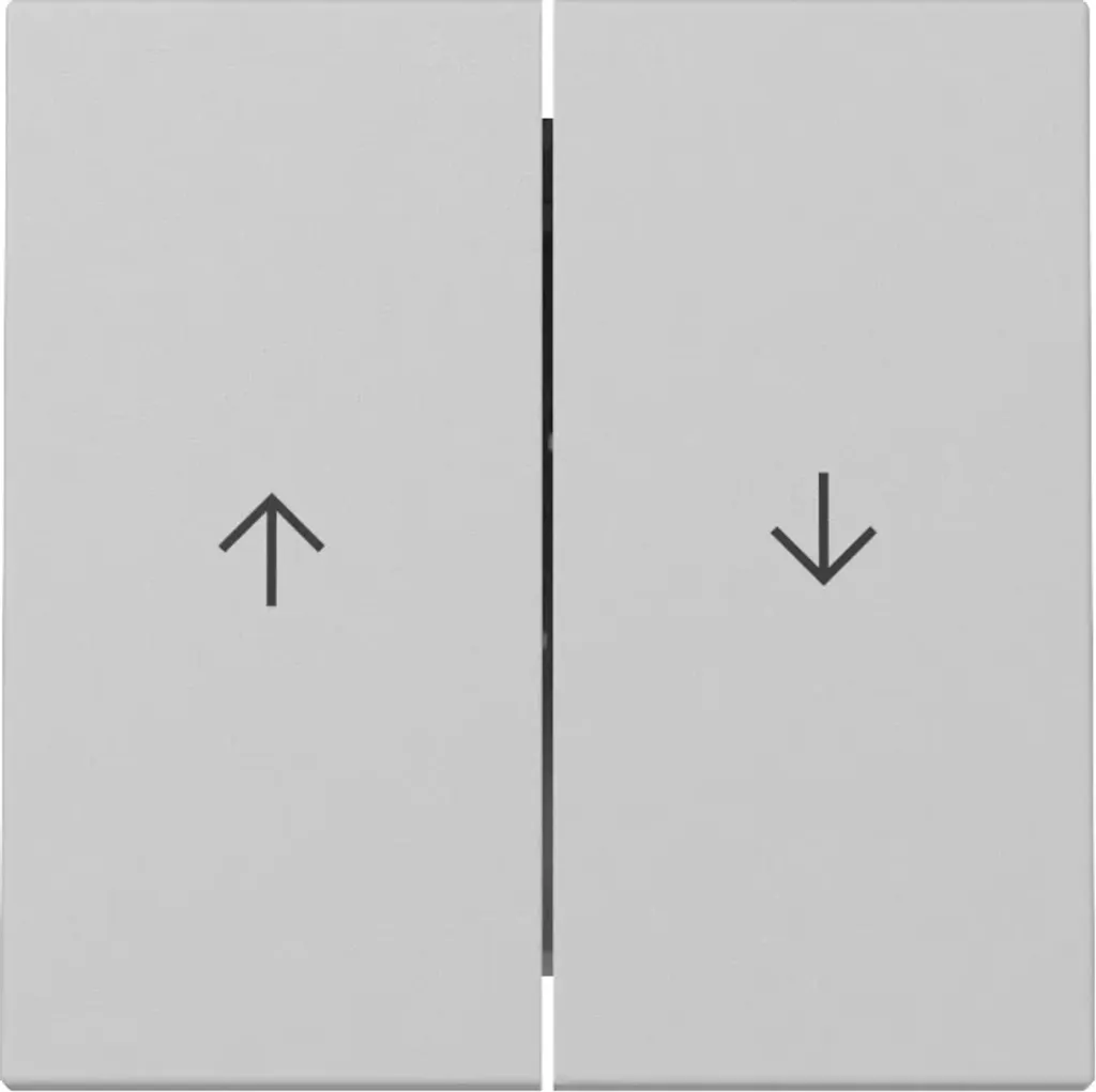 Gira 3294015 Bascule avec Flèches Système 55 Gris Mat pour Interrupteur