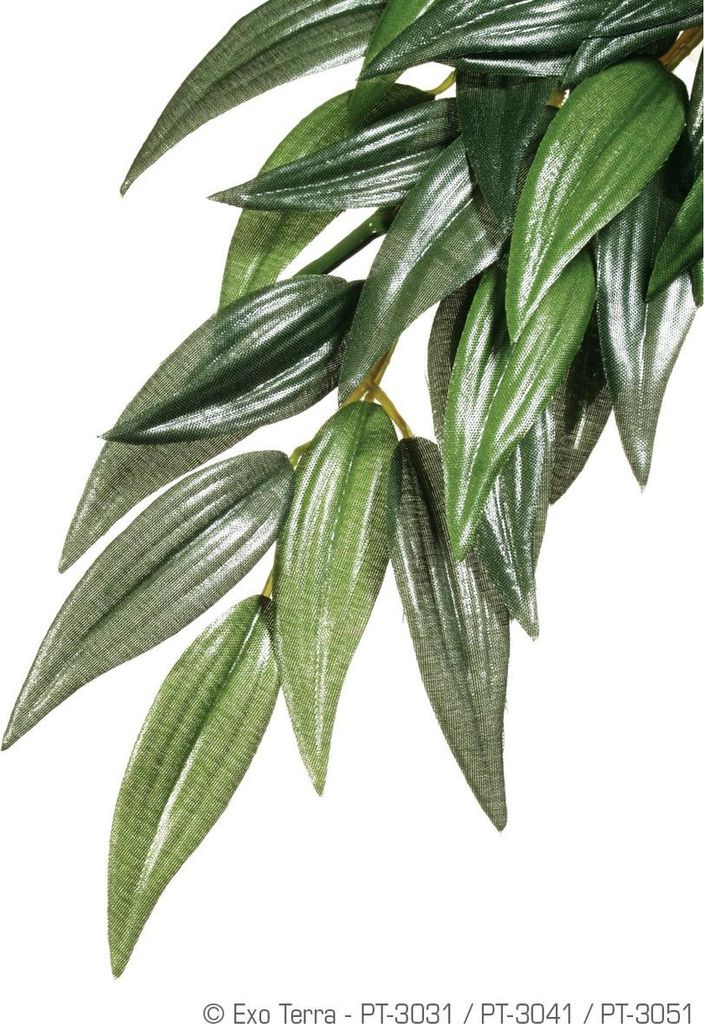 Exo Terra Terrarien-Pflanze Ruscus, Größe: L / groß