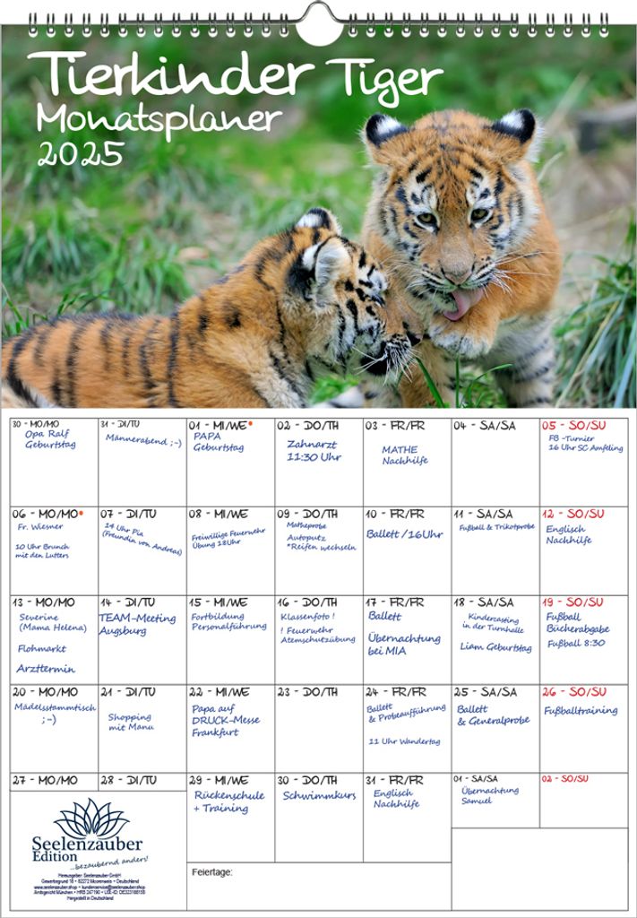 Tierkinder Tiger Planer DIN A3 Kalender für 2025 Tierbabys und Tierkinder - Seelenzauber