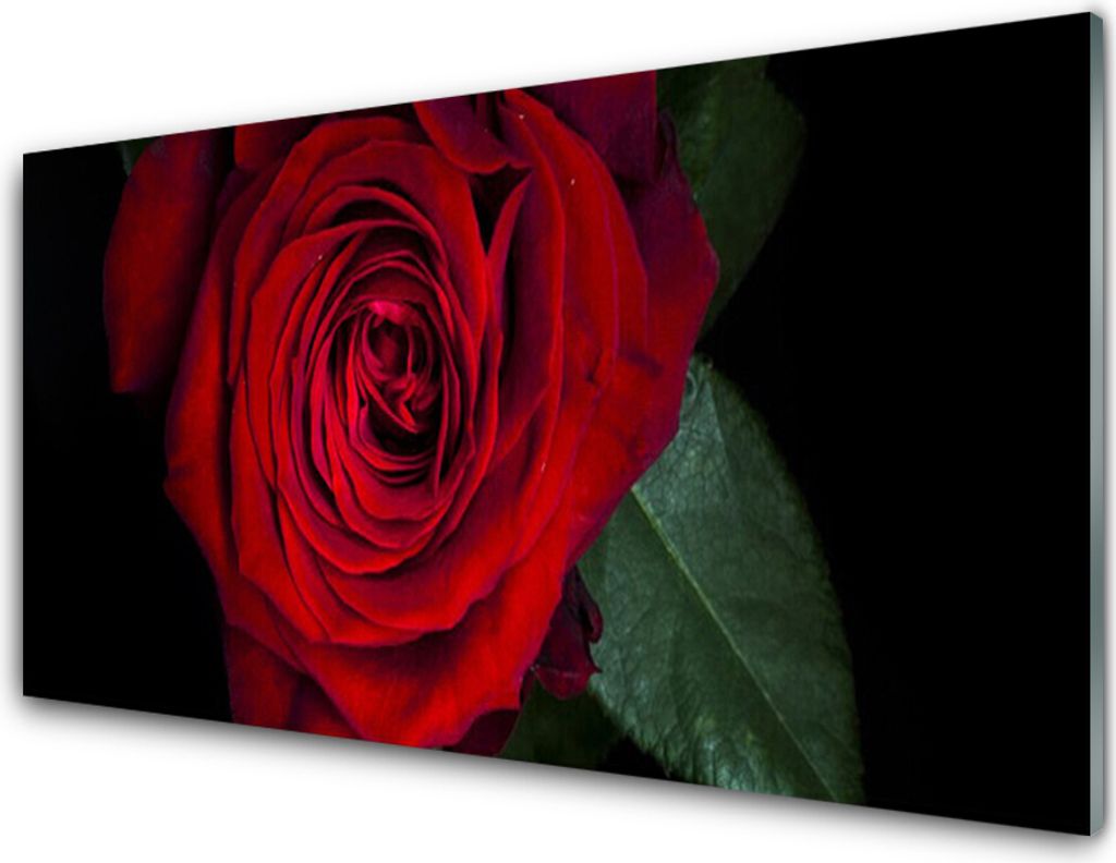 Acrylglasbilder 100x50 Wandbild Druck Rose Pflanzen