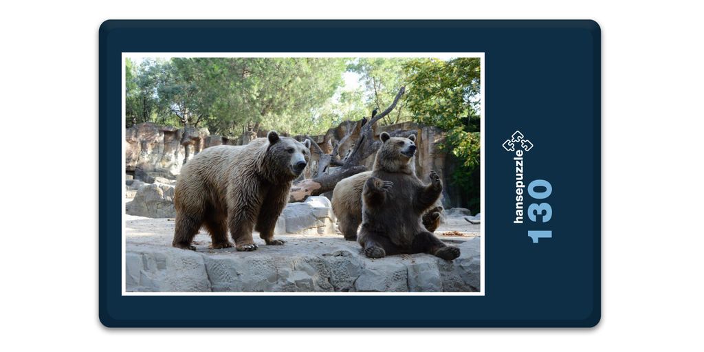 hansepuzzle 18303 - Bären Puzzle, 130 Teile, Natur, 28,7 x 20,0cm mit hochwertiger Aufbewahrung, Kartonbox und wiederverschließbarem Beutel
