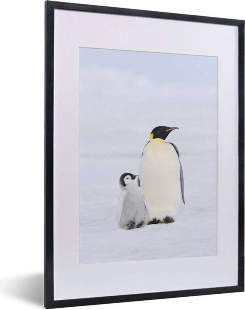 MuchoWow MuchoWow Gerahmtes Poster Pinguin - Schnee - Küken 30x40 cm - Poster mit zchwarzem Bilderrahmen - Wandposter Schlafzimmer