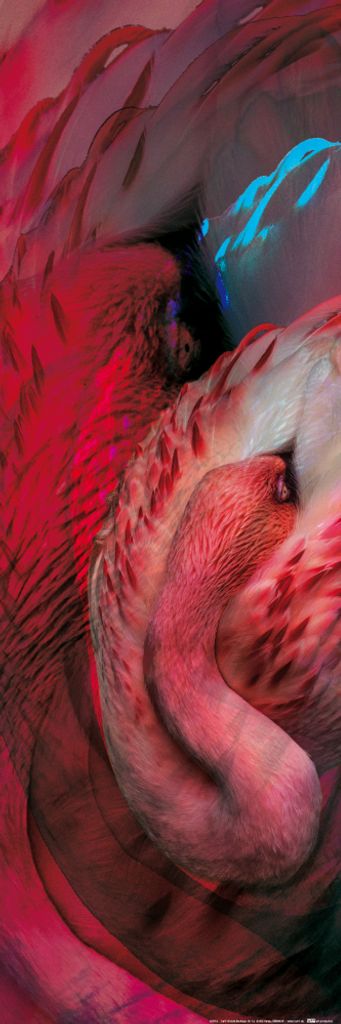 Flamingos Kunstdruck Bild - Flamingo In Phoenix-Rot (91 x 30 cm)