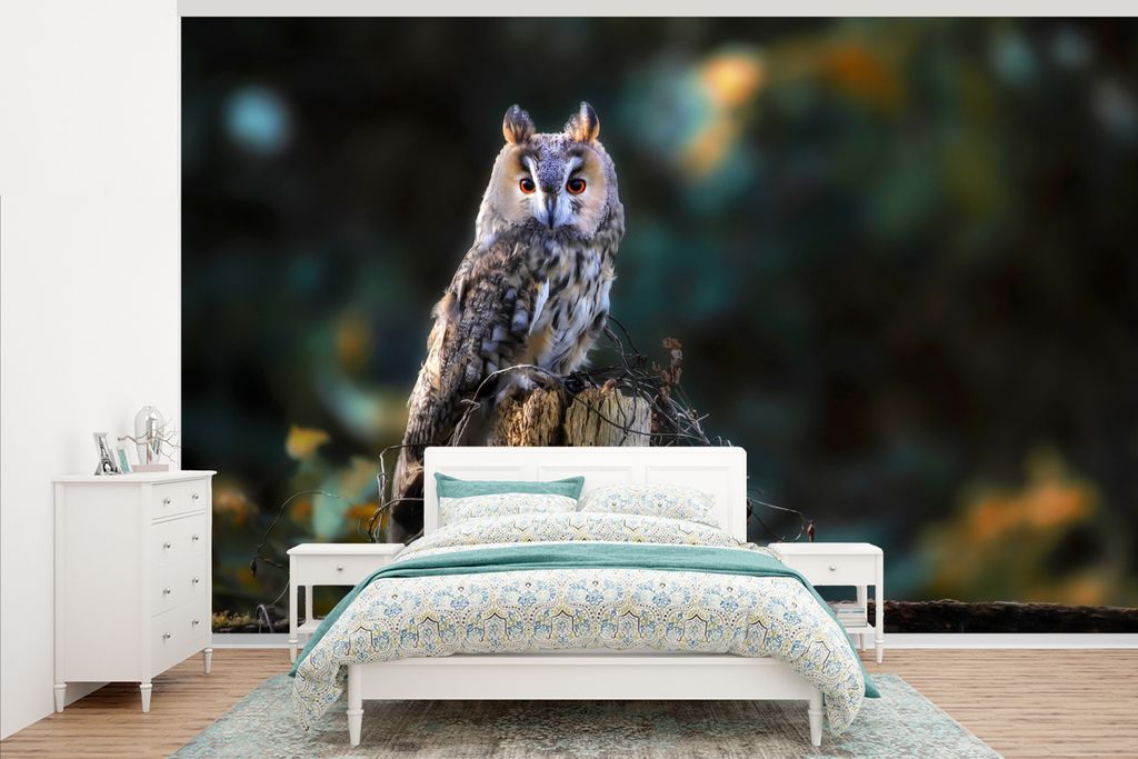 MuchoWow Fototapete für Wohnzimmer oder Schlafzimmer Wandtapete Vinyl Motivtapete Eule - Herbst - Vogel - Äste - 375x240 cm - Wand Tapete