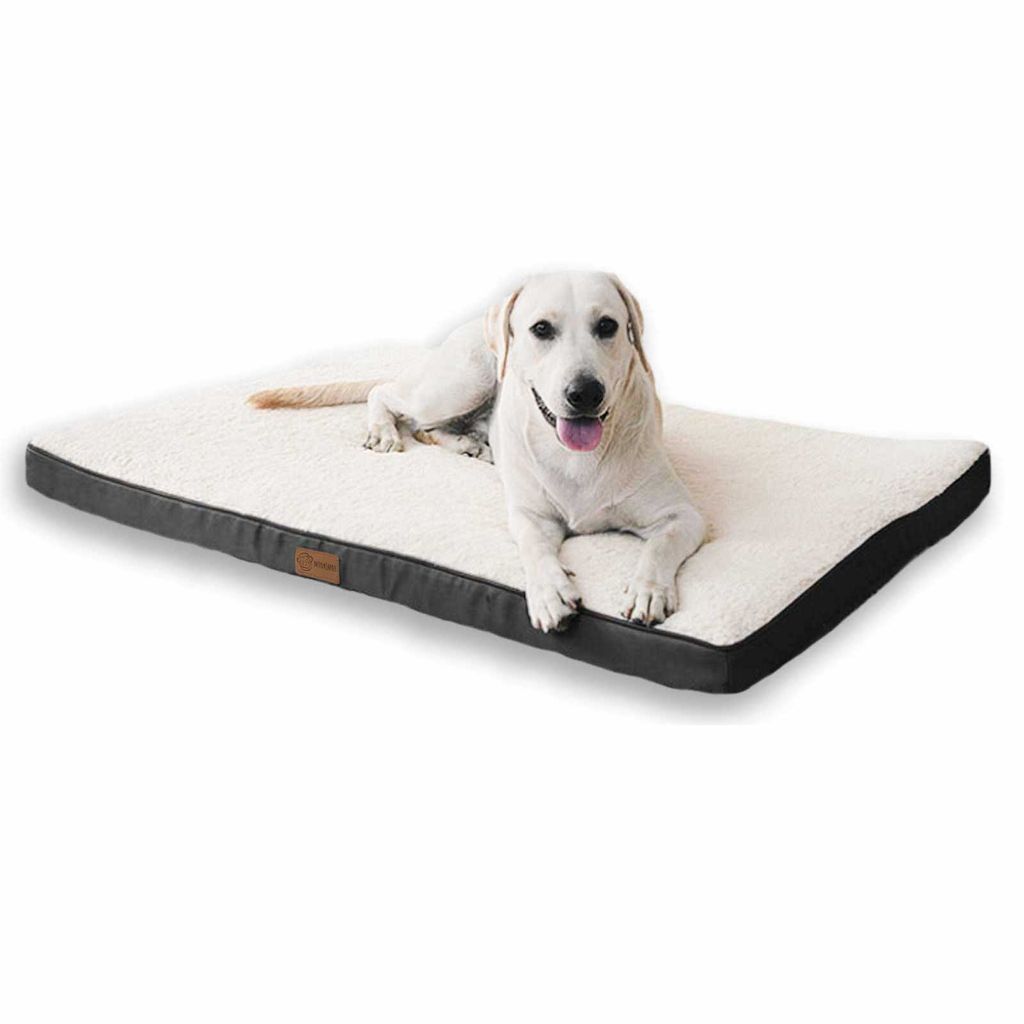 XL Orthopedisches Hundebett – Waschbar, Mit Abnehmbarer Nackenrolle, Für Extra Große Hunde