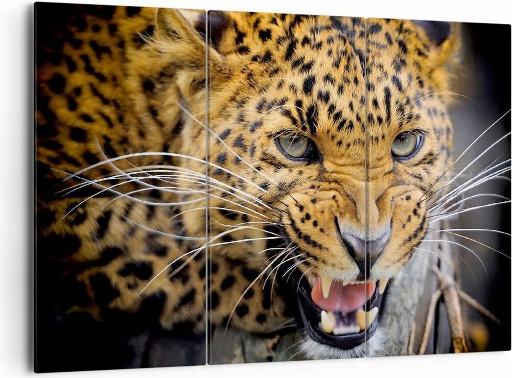 Bild auf Leinwand - Leinwandbild - Leopard tier savanne afrika - 165x110cm - Wand Bild - Wanddeko - Leinwanddruck - Bilder - Kunstdruck - Wanddekor...