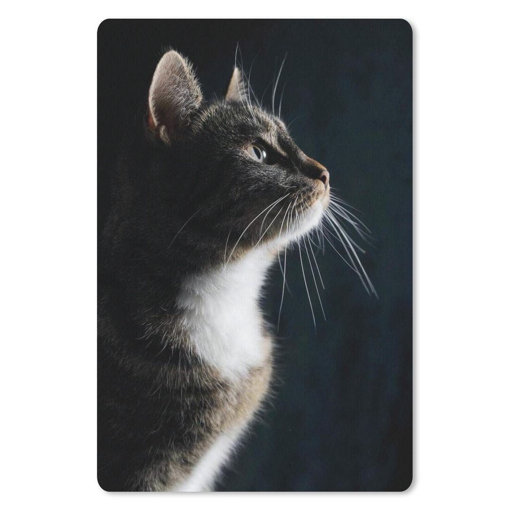 MuchoWow Mauspad Mousepad Hauskatze 18x27 cm - Mousepads - Maus Mat - Pad - Mausunterlage