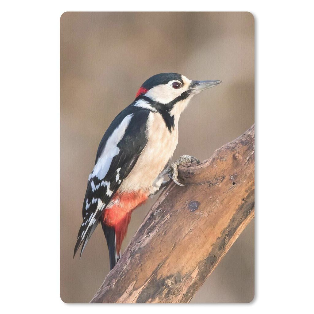 MuchoWow Mauspad Mousepad Ein Buntspecht bei Sonnenuntergang 40x60 cm - Mousepads - Maus Mat - Pad - Mausunterlage - Schreibtisch Accesoire