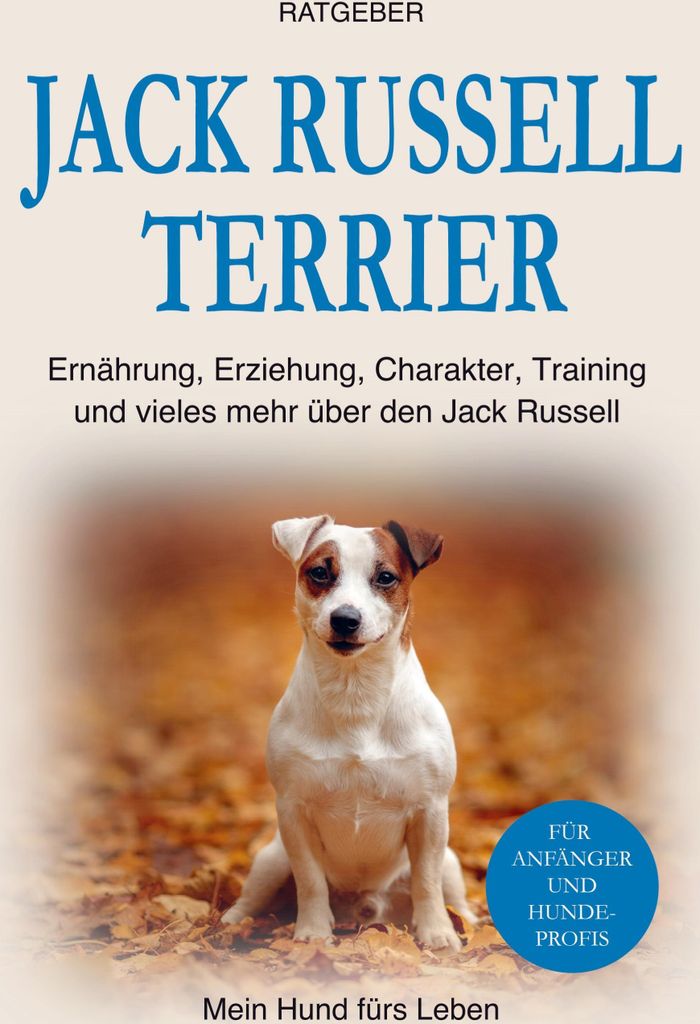 Jack Russell Terrier