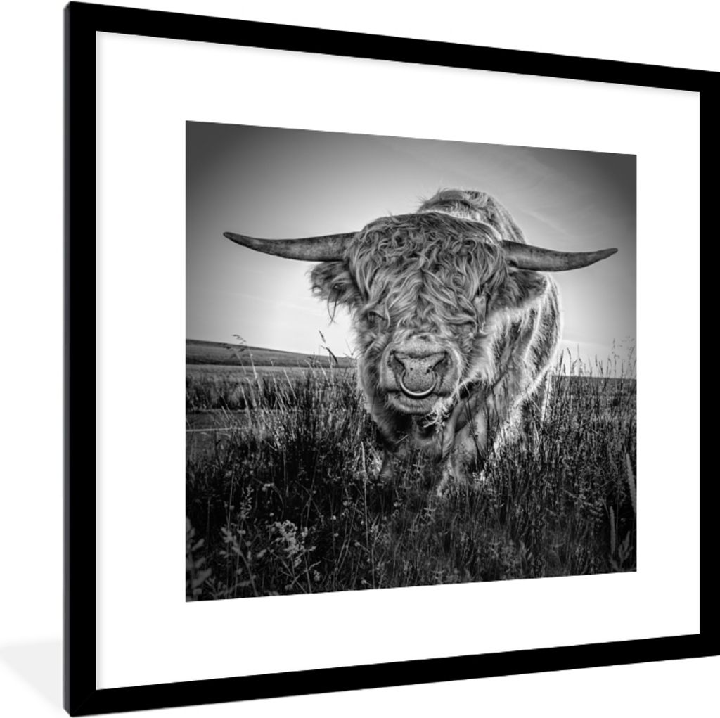 MuchoWow Gerahmtes Poster Scottish Highlander - Gras - Schwarz - Weiß 40x40 cm - Poster mit Schwarzem Bilderrahmen Wandposter Rahmen Foto Bilder...
