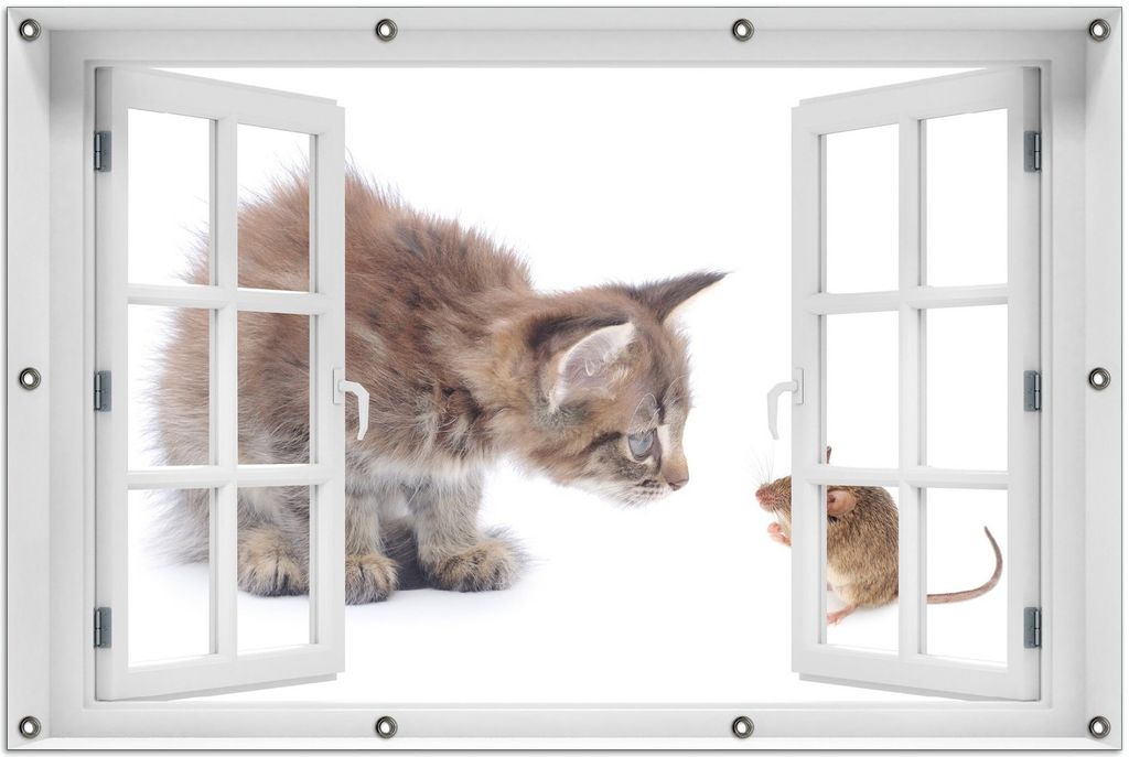 Wallario Outdoor-Poster für Garten oder Balkon 100 x 150 cm: Katze und Maus beim Spielen - weißer Hintergrund