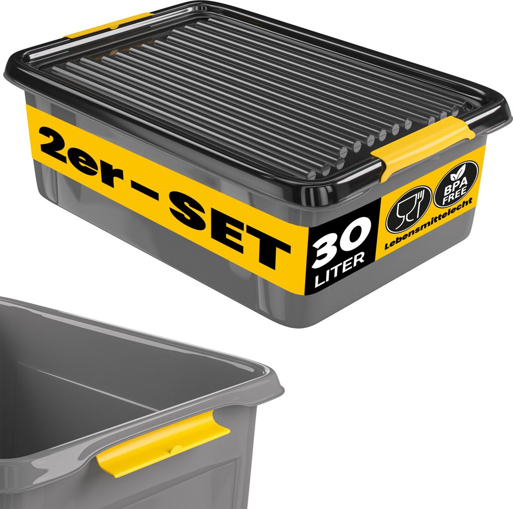 MONZANA® 2x Aufbewahrungsbox 30L mit Deckel 40kg belastbar Produktbild 