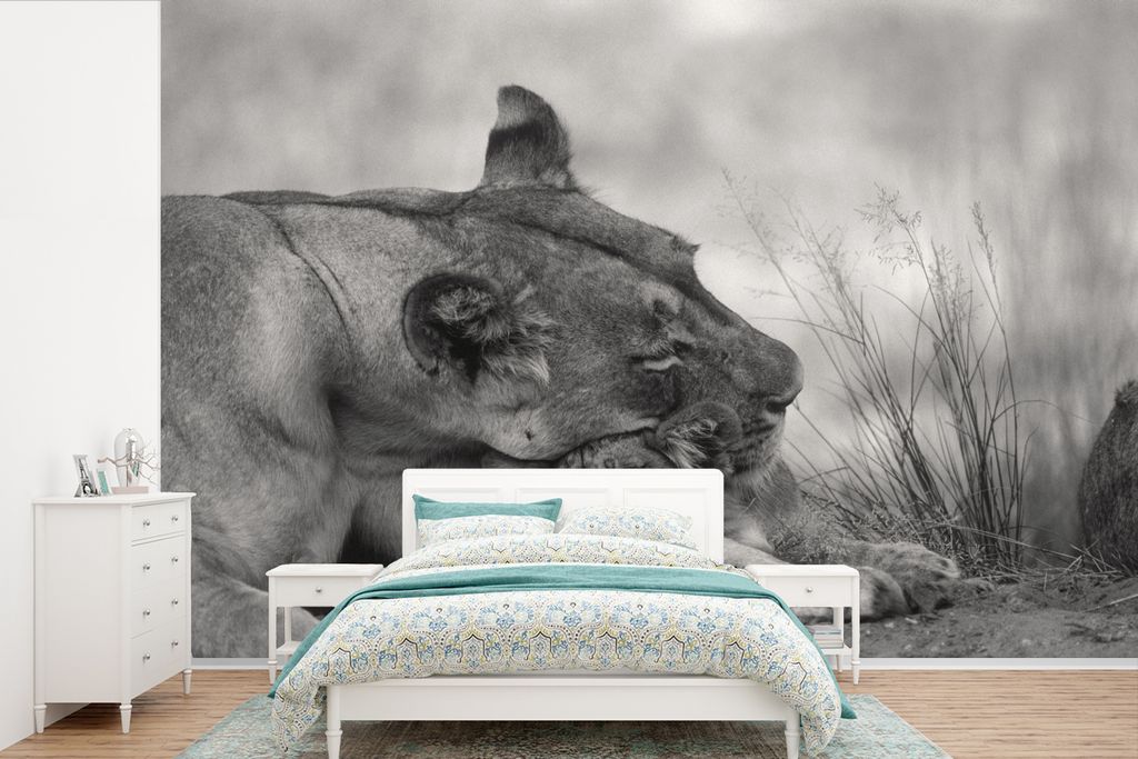 MuchoWow Fototapete für Wohnzimmer oder Schlafzimmer Wandtapete Vinyl Motivtapete Löwin - Jungtier - Schwarz - 450x300 cm - Gemusterte