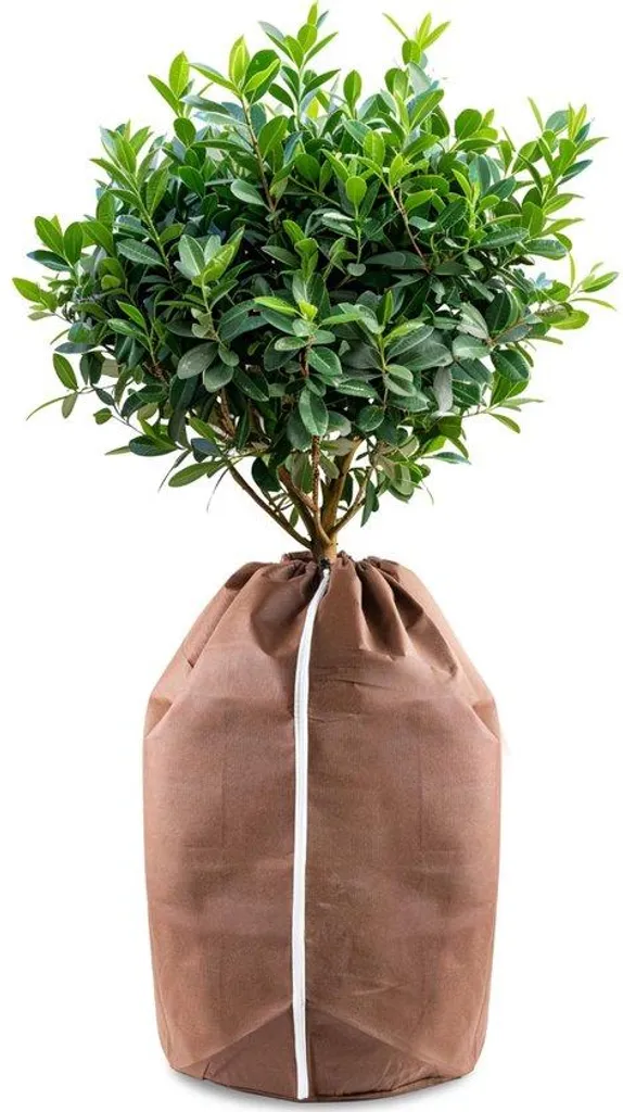 Protection hivernale plantes 40 cm avec cordon thermique XL