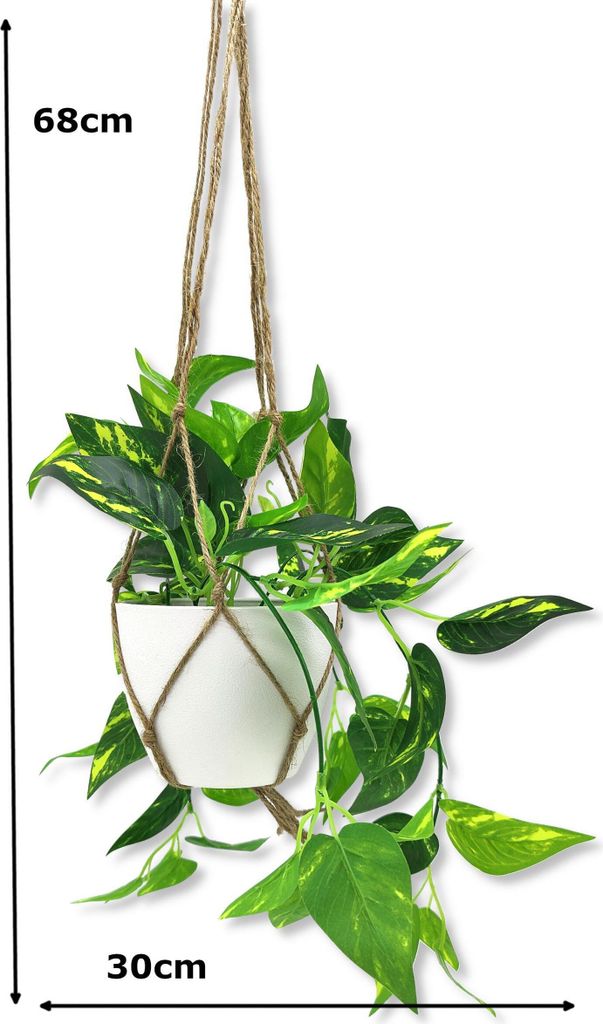 elefantenfu licht XXL Elefantenfu Nolina kaufen  Green Me Up