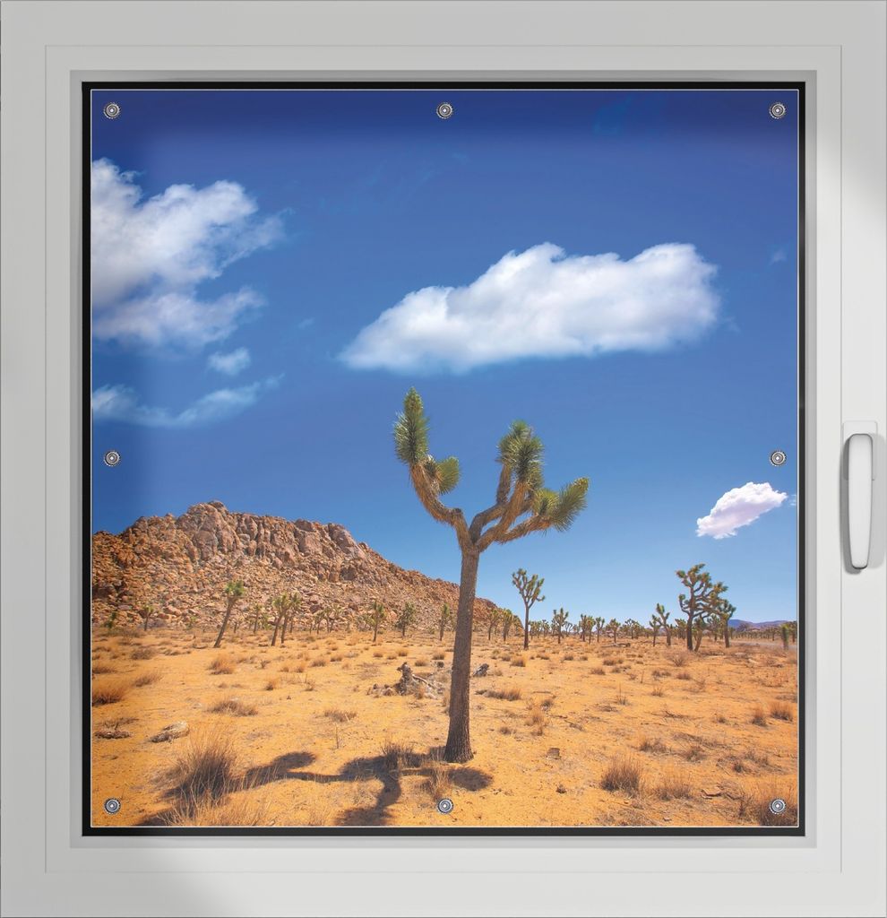 Wallario Lichtschutzbild, Dekorativer Sichtschutz Sonnenschutz 96 x 100 cm mit Motiv: Palmlilie im Nationalpark Yucca Valley Wüstenlandschaft - Ve...