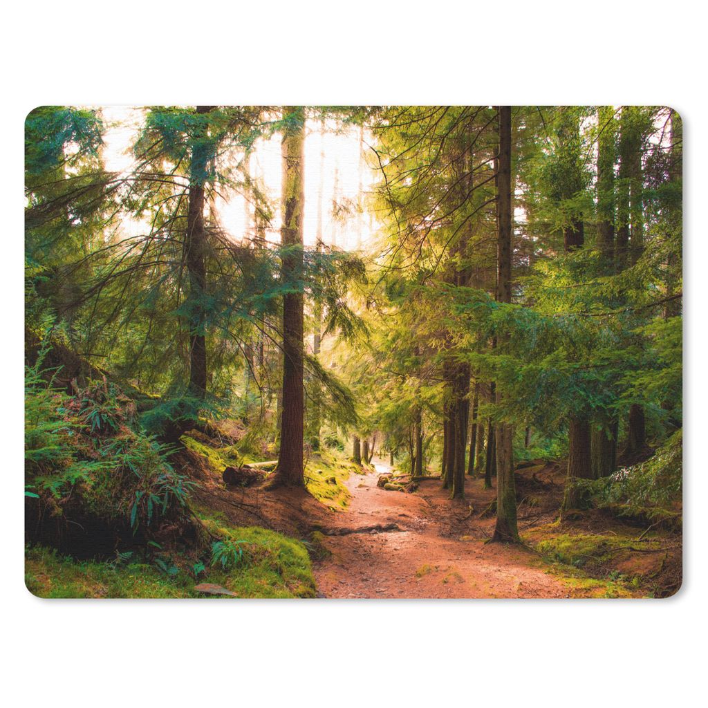 MuchoWow Mauspad Mousepad Wald - Weg - Bäume - Grün - Sonne - Natur 40x30 cm - Mousepads - Maus Mat - Pad - Mausunterlage - Anti Rutsch