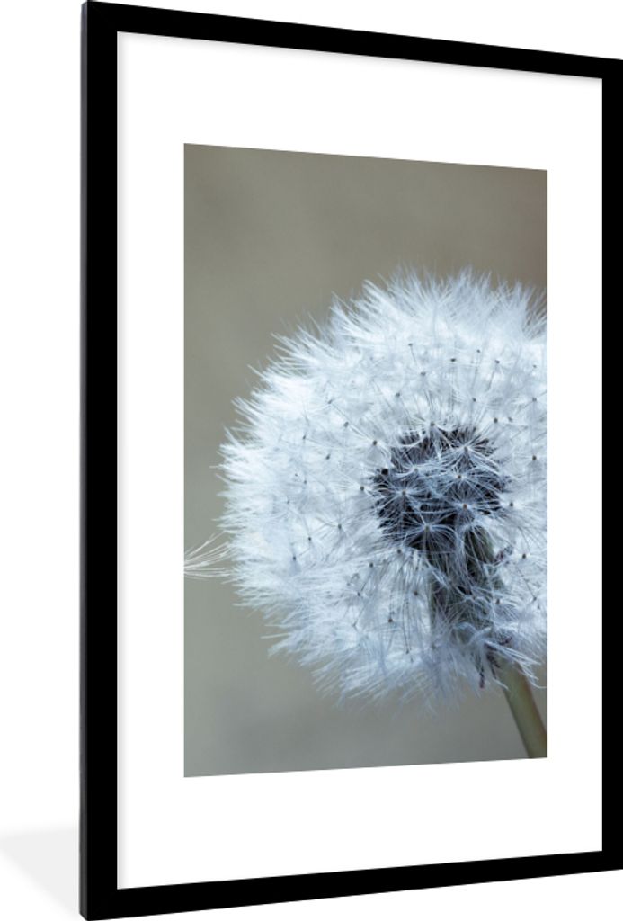 MuchoWow Gerahmtes Poster Löwenzahn - Blume - Pflanze 60x90 cm - Poster mit Schwarzem Bilderrahmen Wandposter Rahmen Foto Bilder - Dekoration - ...