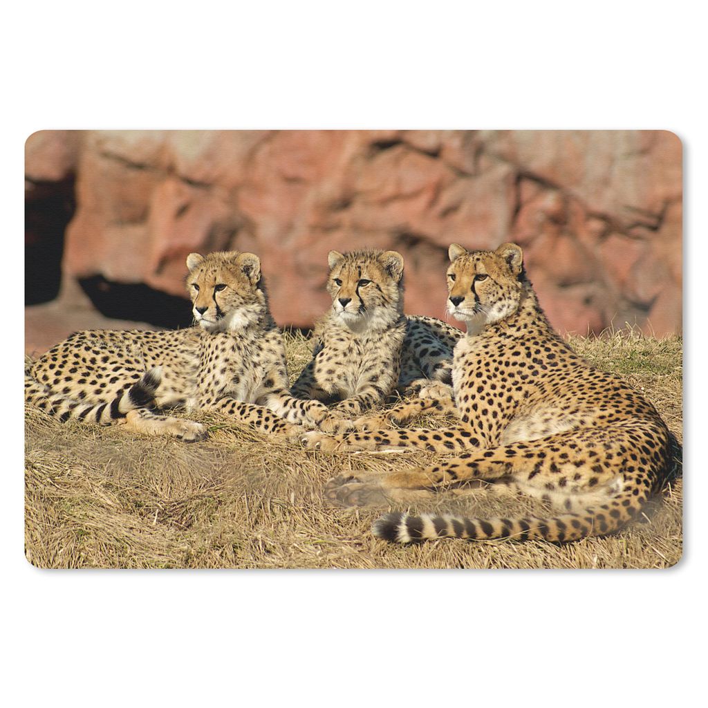 MuchoWow Schreibtischunterlage Gepardenmutter und -junge 60x40 cm - XXL Mauspad - Großes Mauspad