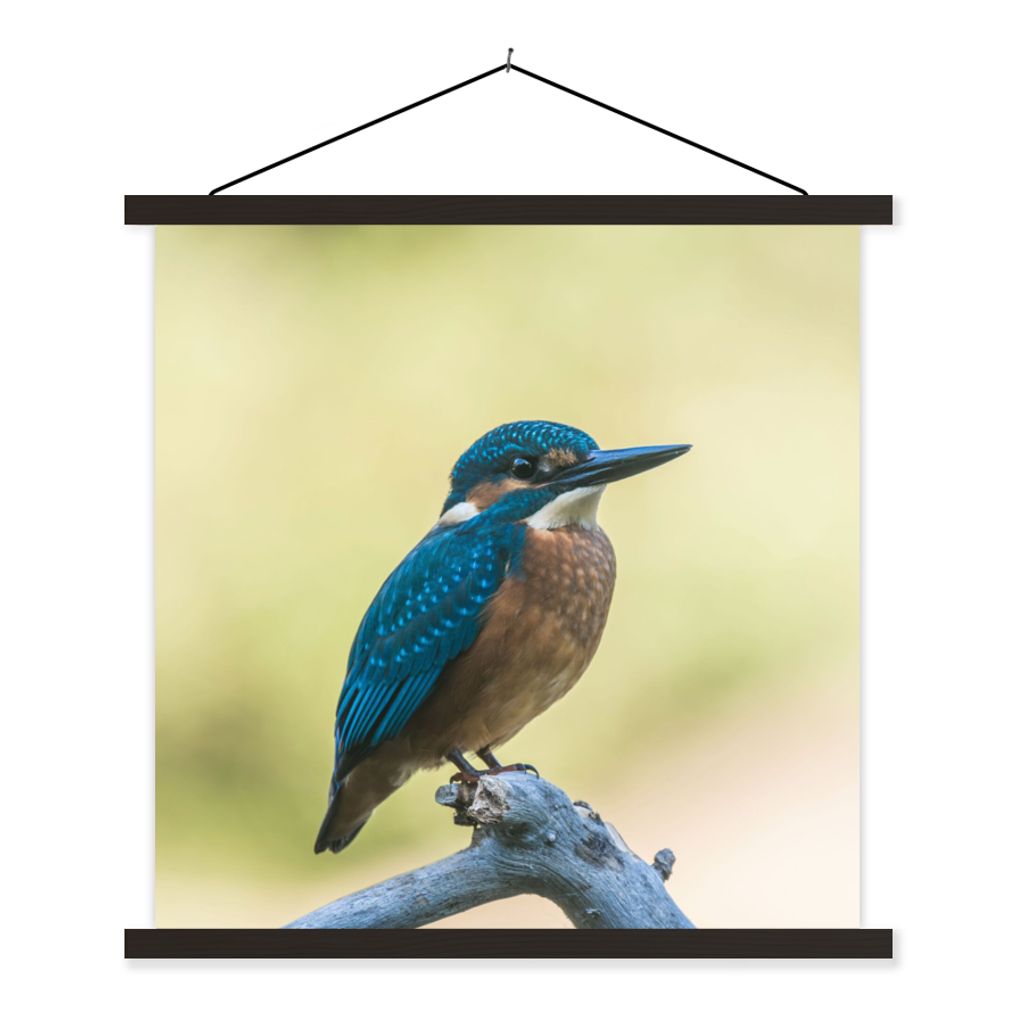 MuchoWow Textilposter Eisvogel - Zweig - Vogel 120x120 cm mit schwarzem Rahmen - Aufhängungsset