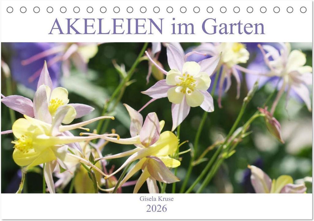 Akeleien im Garten (Tischkalender 2026 DIN A5 quer), CALVENDO Monatskalender