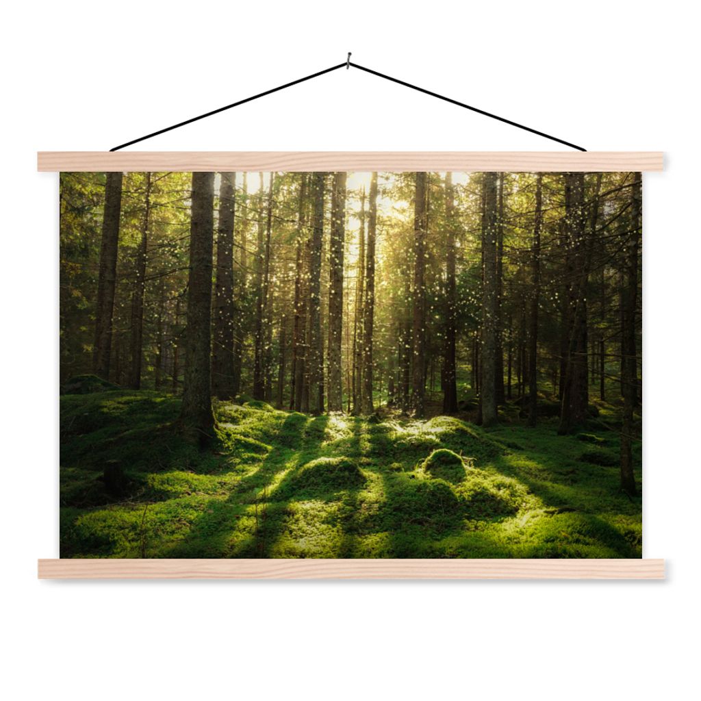 MuchoWow Textilposter Bäume - Wald - Moos - Pflanzen - Sonne - Natur 60x40 cm mit holzfarbenen Rahmen - Bilder