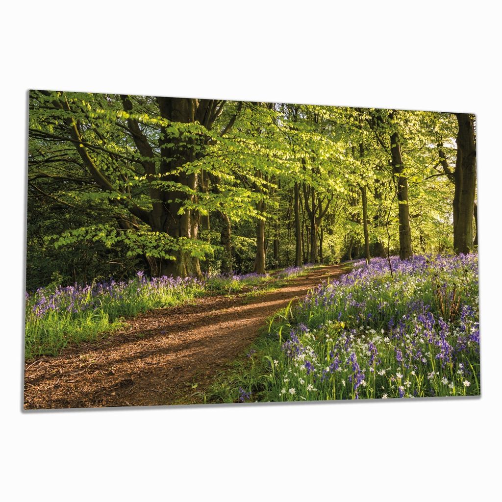 Wallario Herdabdeckplatte aus Glas, Größe 80 x 52 cm 1-teilig, Motiv Blaues Hasenglöckchen im Sommerwald