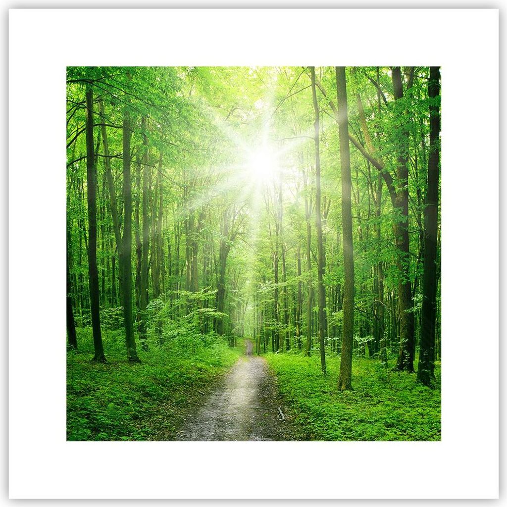 Poster - Poster ohne Rahmen - Sonnenstrahlen Wald Sommer - 30x30 cm - Wand Bild - Wanddeko - Wandbilder - Kunstposter - Wandposter - Bilder - Kunst...