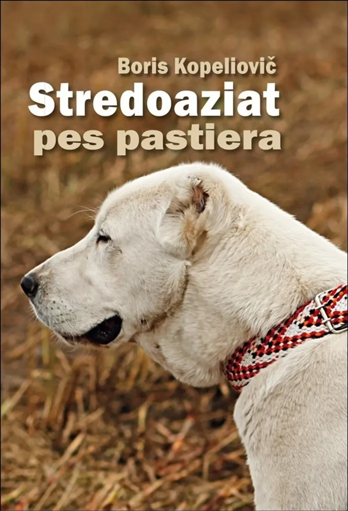 Stredoaziat : Le Héros Modeste d'Asie Centrale de Boris Kopeliovič