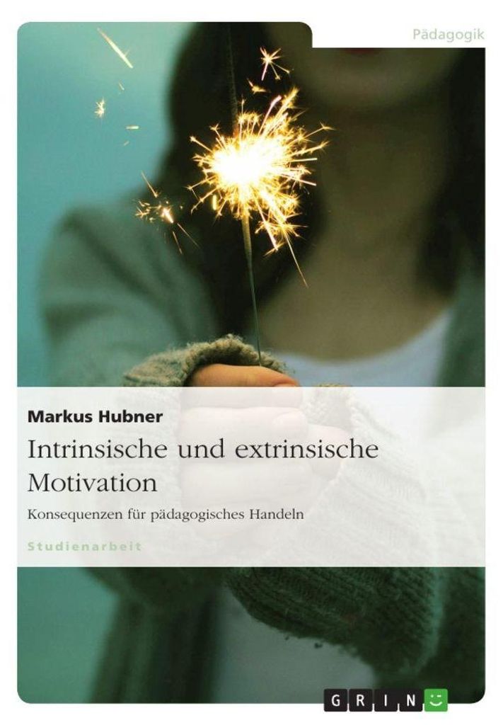 Intrinsische und extrinsische Motivation. Konsequenzen für pädagogisches Handeln