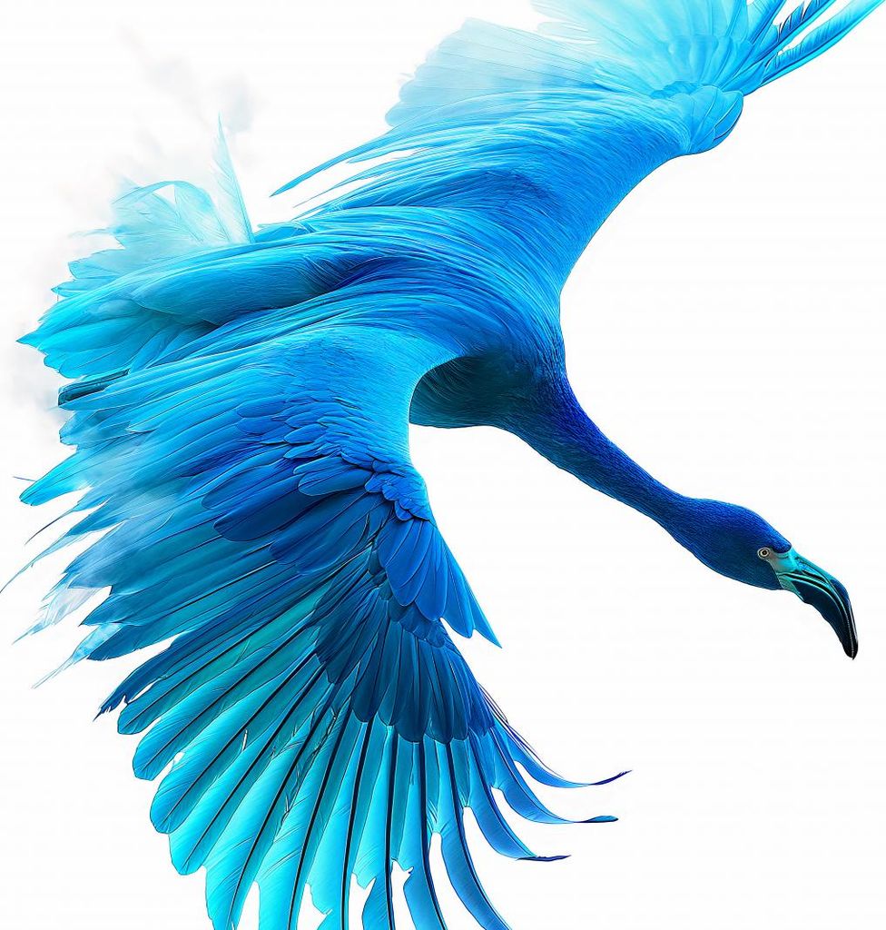 Plakat 90x90cm Blauer Flug