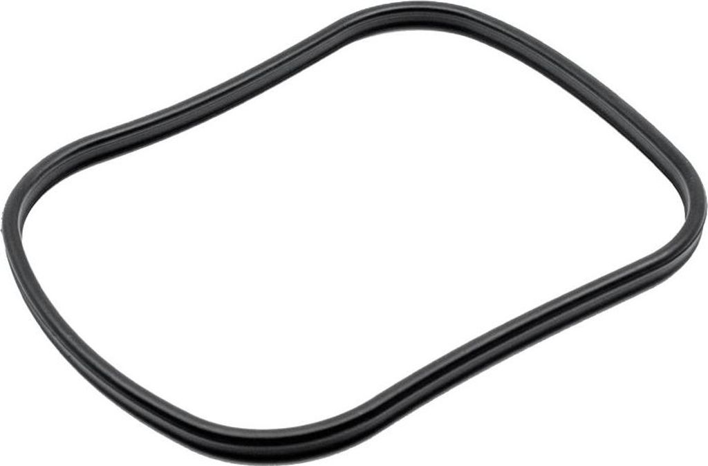 Oase Main Gasket for BioMaster & BioMaster Thermo - Zdjęcie produktu 