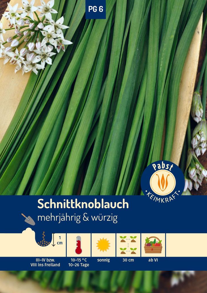 Artikelbild 1 von 'Schnittknoblauch Gewürzlauch' aus der Kategorie Knoblauchsamen