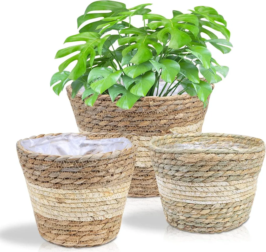 Cache-pot en algue marine pour cacher vos pots en plastique - Set de 3