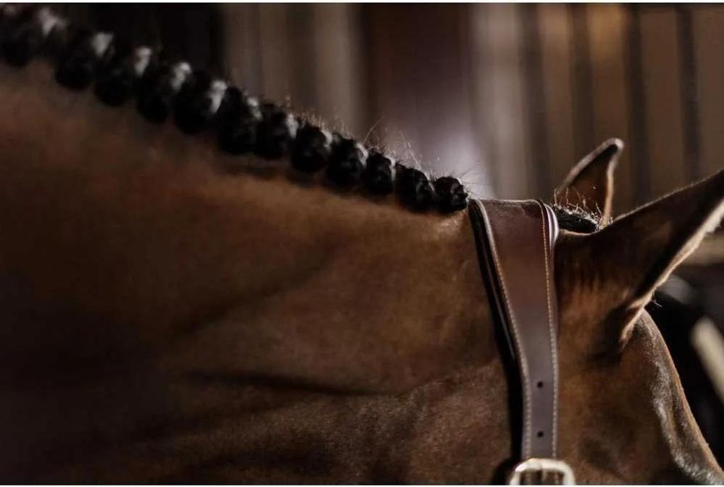 Licol Complet Kentucky En Similicuir Avec Mousqueton, Bande Tricotée Réglable, Boucles Dorées, Pour Cheval