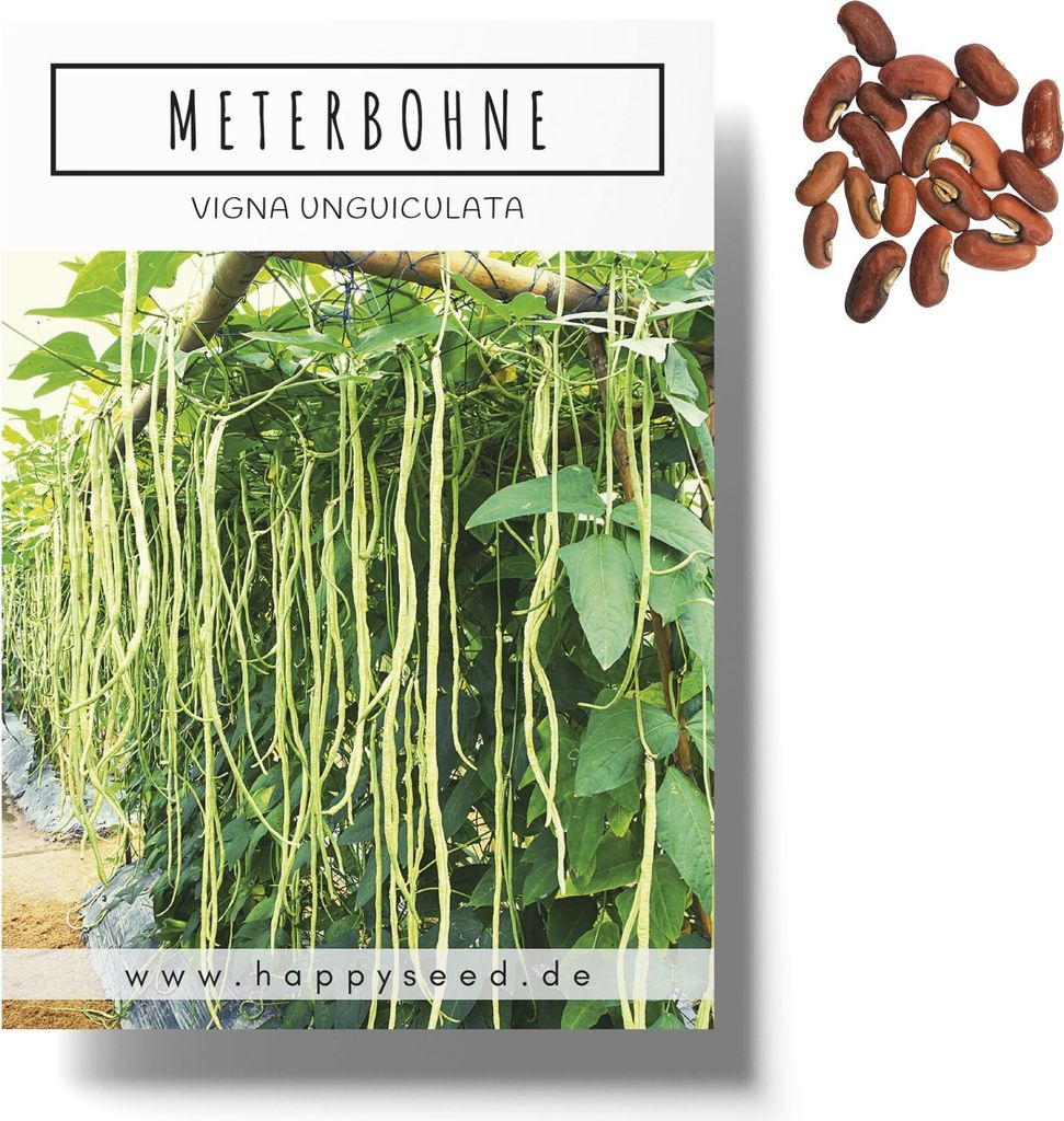 Meterbohne Samen (Vigna unguiculata) - Spargelbohnen Produktbild 