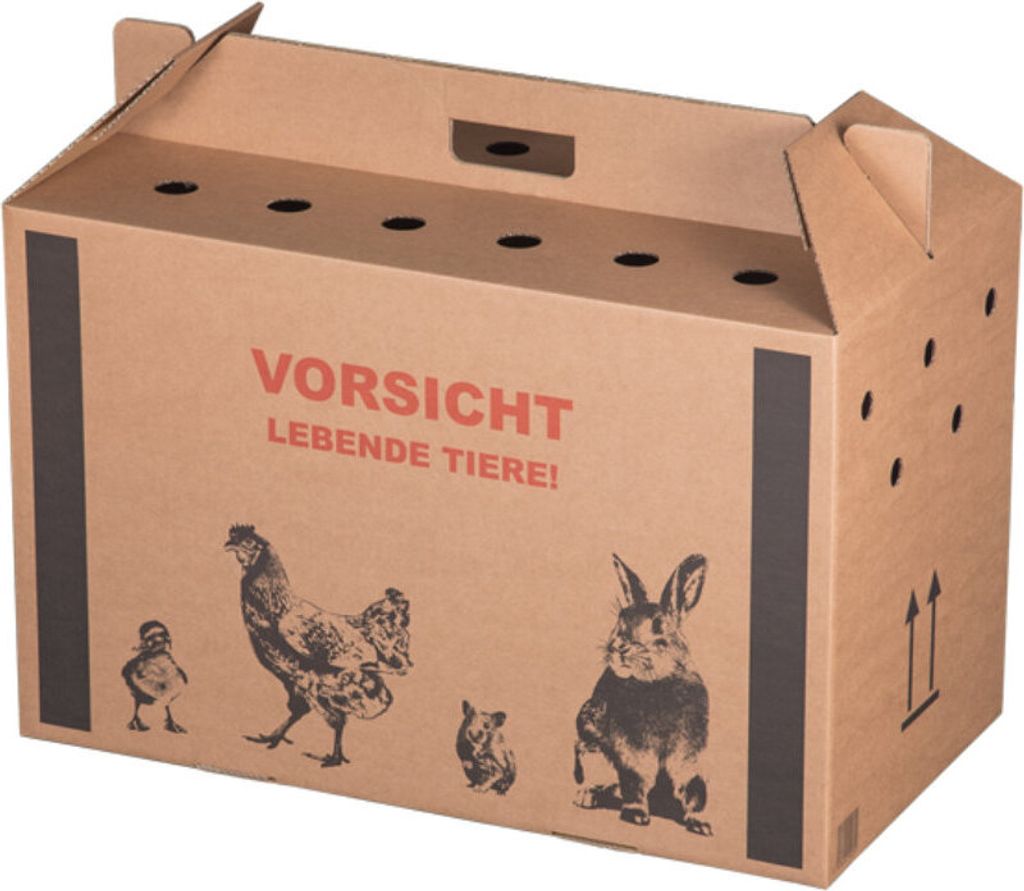 A cardboard animal transport box with illustrations of various animals and warning text.