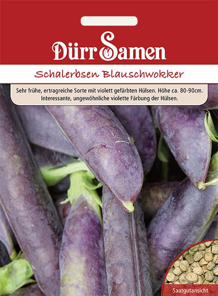 Dürr-Samen - Schalerbsen Blauschwokker - Saatgut - 4161 Produktbild 