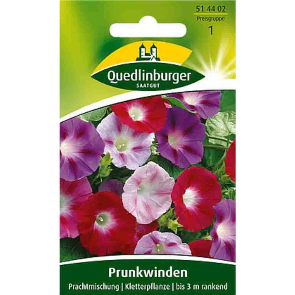 Quedlinburger Saatgut - Miscuglio di convolvolo magnifico - Immagine del prodotto 