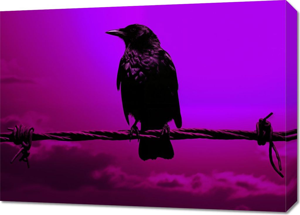 Bild 70x50cm Silhouette des Geheimnisses