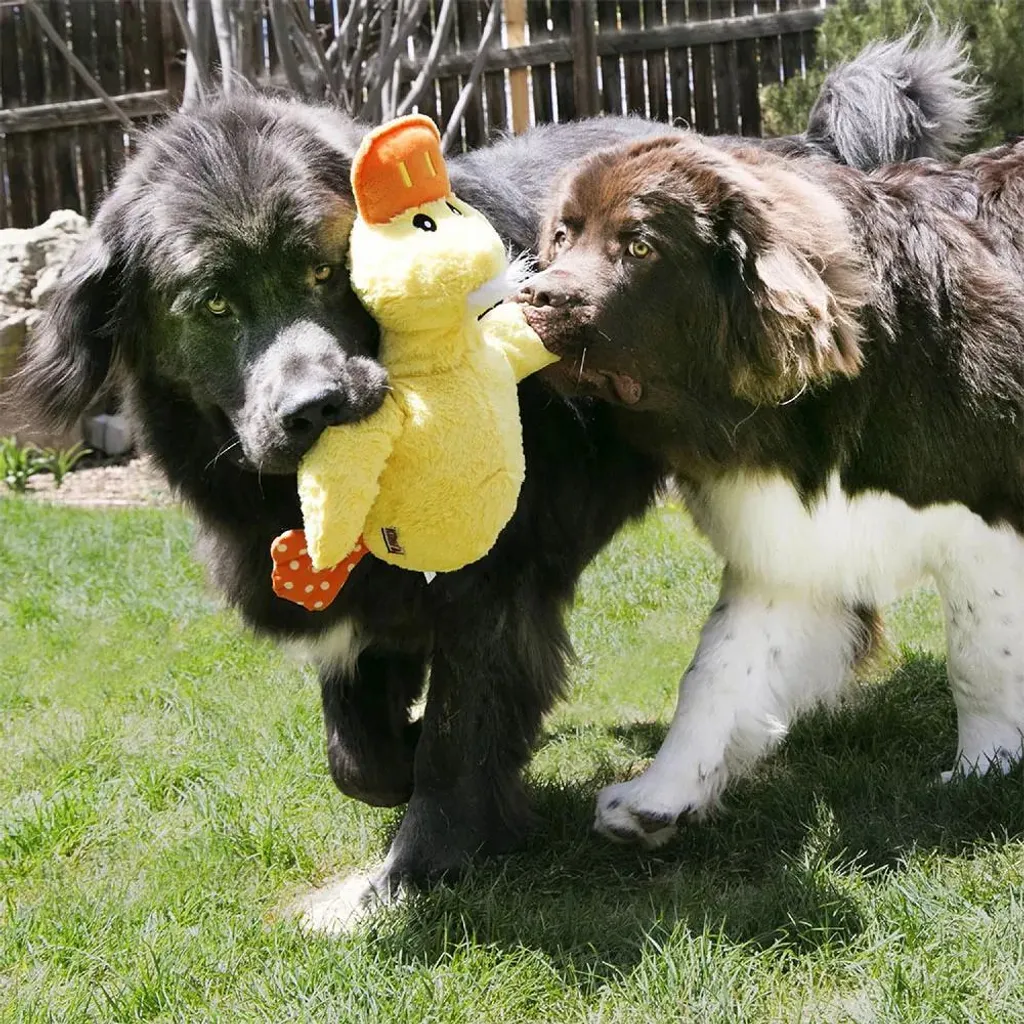 KONG Comfort Jumbo Duck: Peluche Design XL per Cani di Prestigio - 8