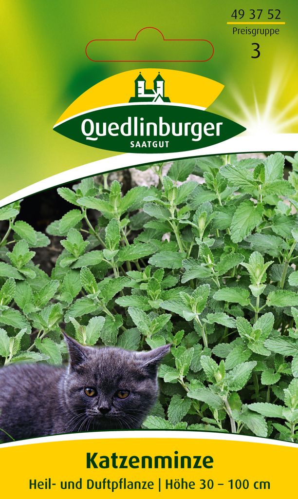 Katzenminze Produktbild 4