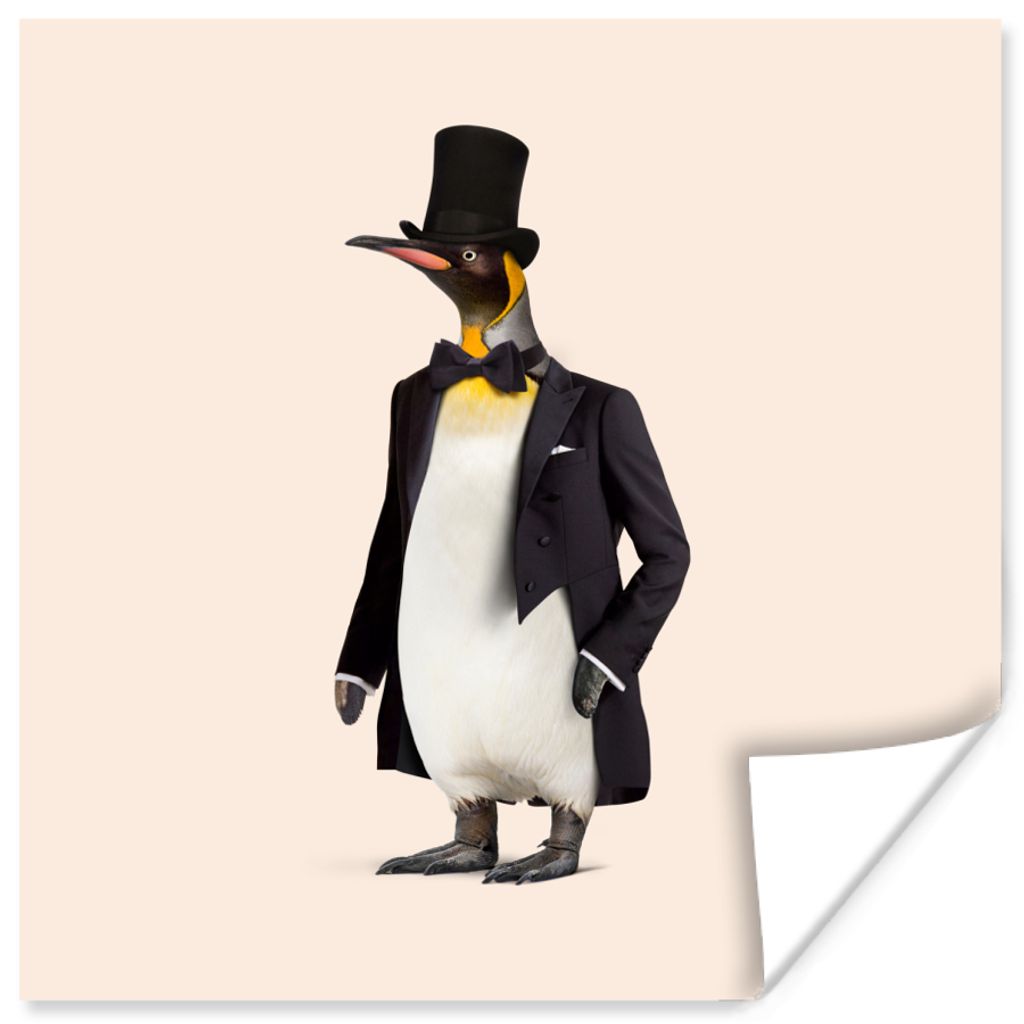 MuchoWow Poster Pinguin - Tier - Hut - Schwarz 30x30 cm - Wandposter - Printing
